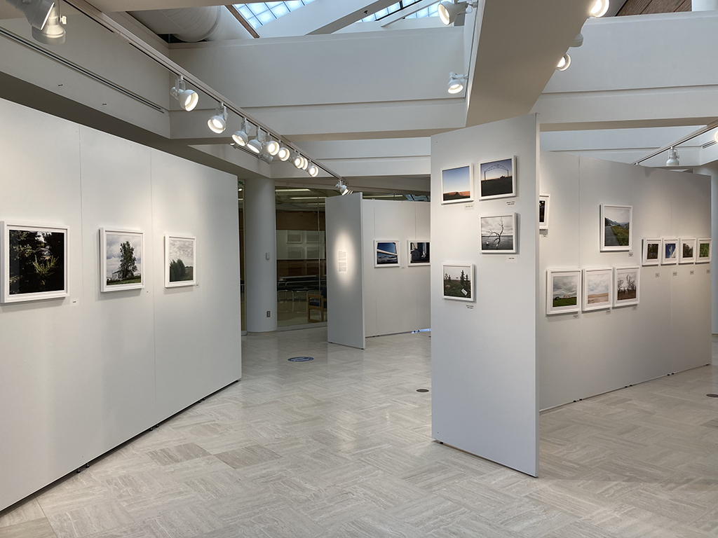 looking north toward the entry door 3 piece wall of 20 x 24